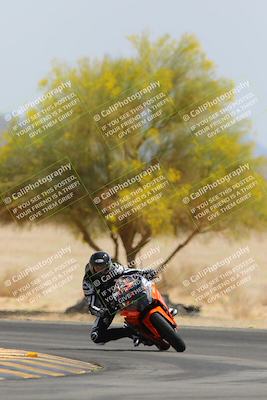 media/Apr-12-2025-Race Pace (Sat) [[9230add55f]]/Vested/6-Turn 4 Tree of Life (115pm)/